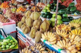 马来西亚山竹进口需要什么单证？