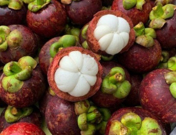 马来西亚山竹进口需要什么单证？