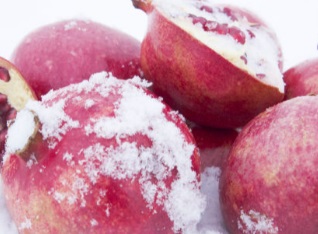 智利冷冻水果进口报关公司