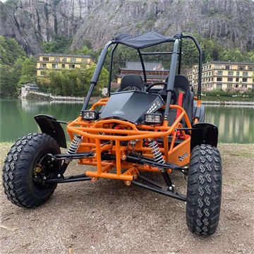 供应越野卡丁车 汽油越野车 双人越野卡丁车