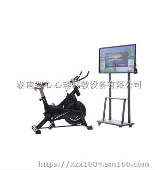 智能多维运动调节训练系统,平衡运动训练系统,智能运