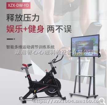 智能多维运动调节训练系统,平衡运动训练系统,智能运