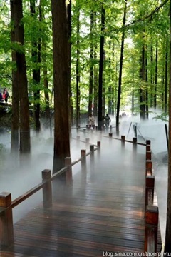 各种特色水景|雕塑水景|大型水景墙、跌水|武汉喷泉