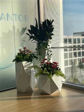 中山租花公司，中山绿植租摆公司