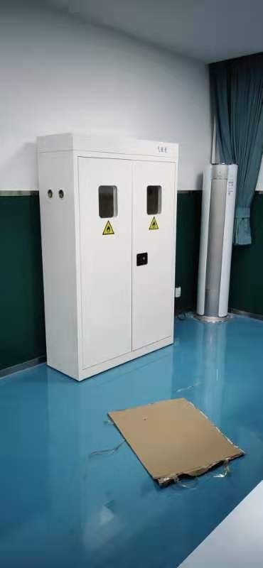 实验室北京气瓶柜 防火防爆柜 实验室双气瓶柜