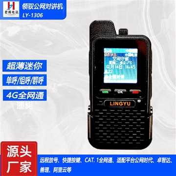 锦天领驭插卡公网对讲手持机LY-1306