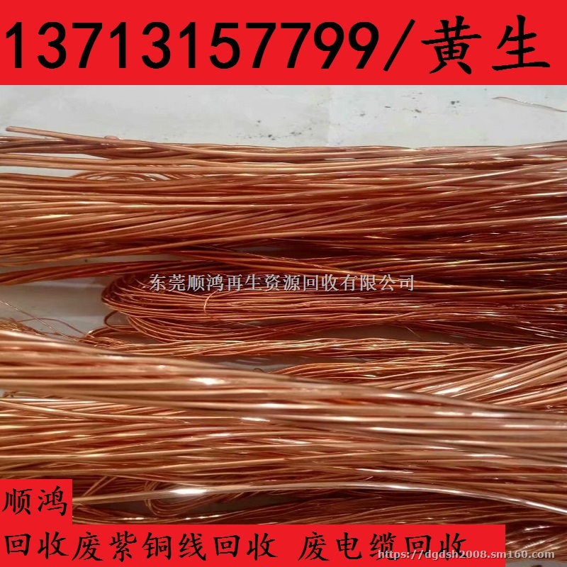 采购销售废铜回收 废紫铜 废磷铜回收 今日废铜