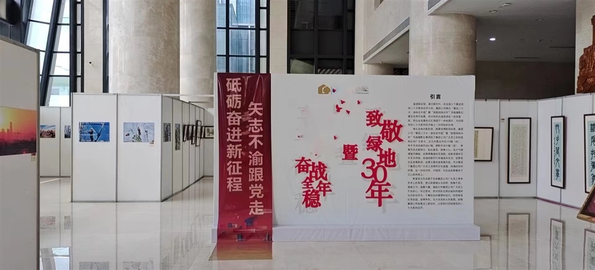摄影展览，书画展览专用展板搭建安装服务