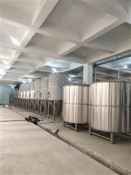 中大型酒厂啤酒设备厂家果味啤酒设备机器