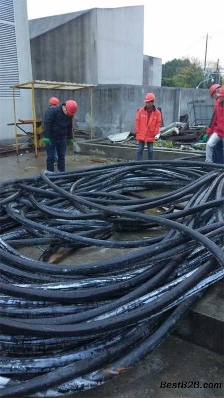 苏州工业区废旧电缆线回收价格上海废旧母线槽回收厂家