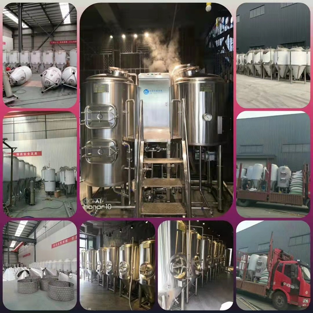 餐饮店小型酿酒设备日产500升的精酿啤酒设备