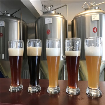 餐饮店小型酿酒设备日产500升的精酿啤酒设备