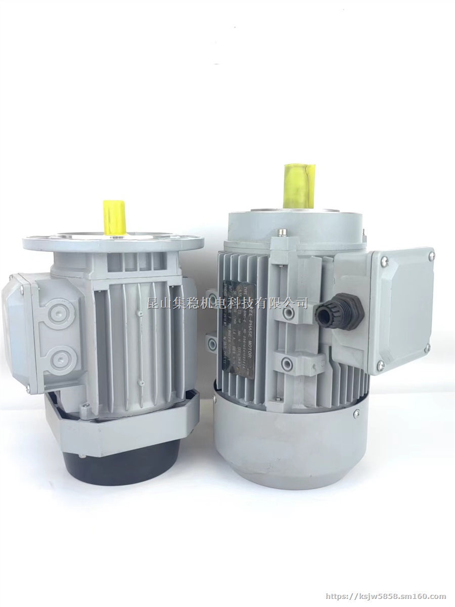 三相异步电机YE6014-60W立式B5大法兰马达