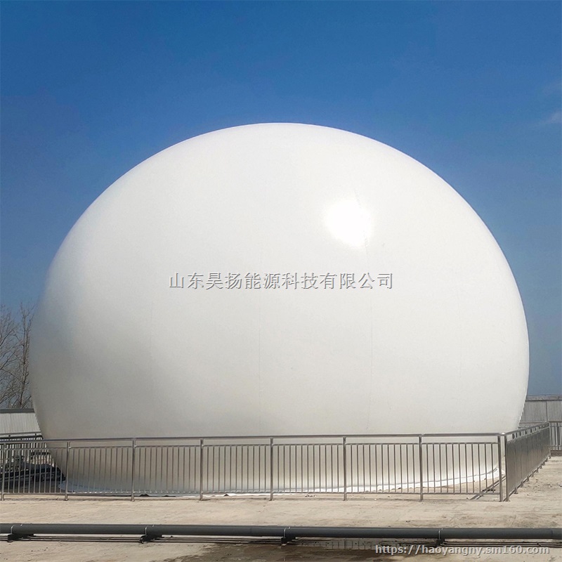 大型沼气气柜 养殖场沼气储存设备 一体化沼气设备