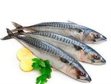 进口印尼沙丁鱼报关需要的单证资料