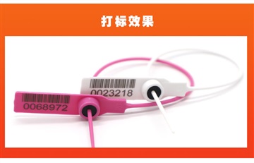 汽车门锁塑料封条铅封卡扣