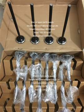 供应 MAN 各种型号船用柴油机备件活塞