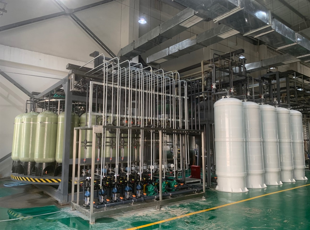 连续离子交换技术设备方案提供商