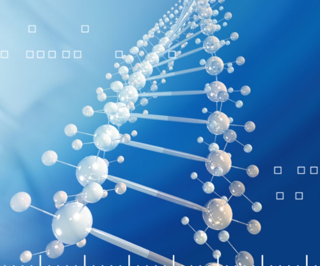 连续离子交换技术设备方案提供商