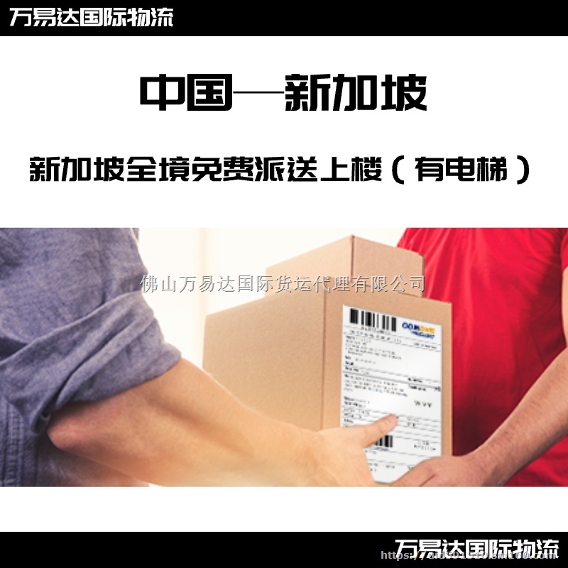 广州到新加坡海运双清门到门 整柜散货拼箱运输