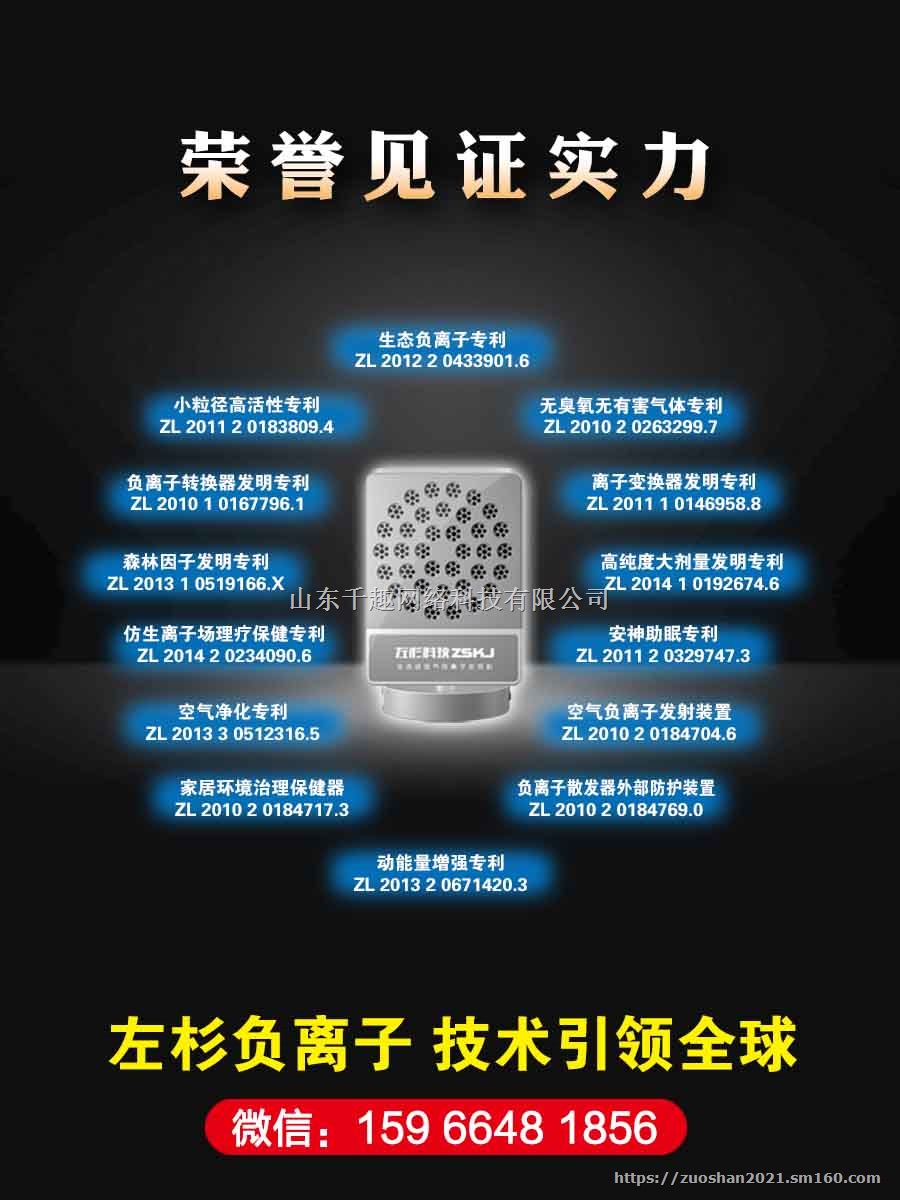 负氧离子发生器负离子机空气净化器家用