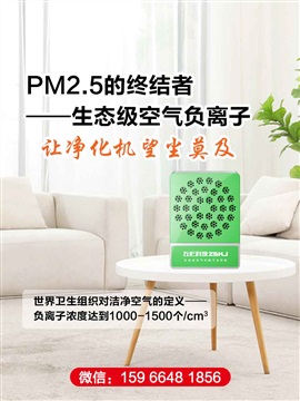 负氧离子发生器负离子机空气净化器家用