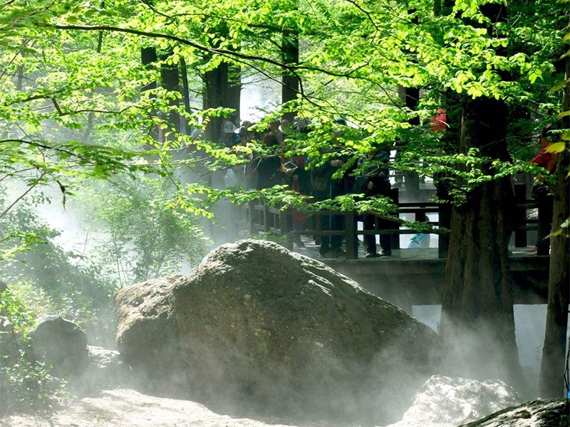 武汉雾森 园林雾化系统-水雾有利于植物的养护与生长