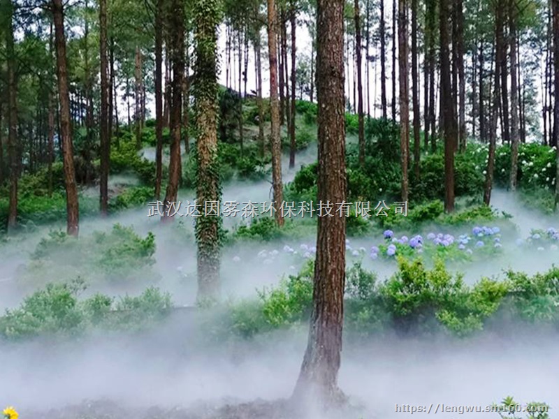 武汉雾森公司植物园景观雾森设备-自动喷雾,节能节水