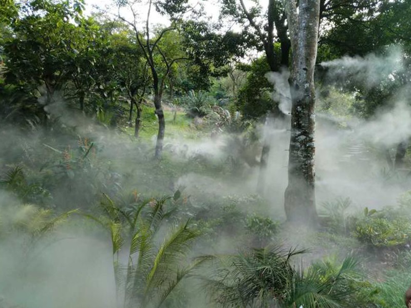 植物园景观雾化系统-降低区域温度，带来清凉