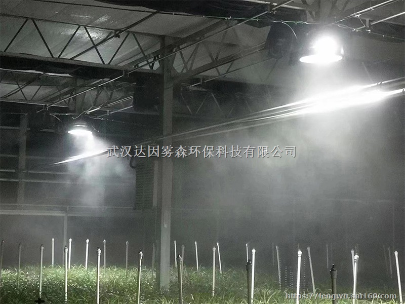 兰花大棚喷雾加湿系统-加湿、降温两不误! 武汉达因