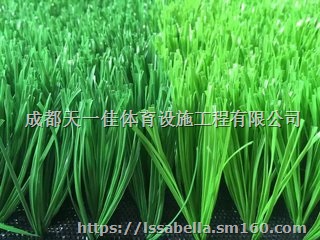 足球场草坪报价施工,足球场草坪厂家包工包料价格