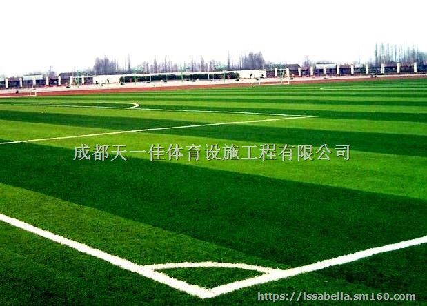 足球场草坪报价施工,足球场草坪厂家包工包料价格