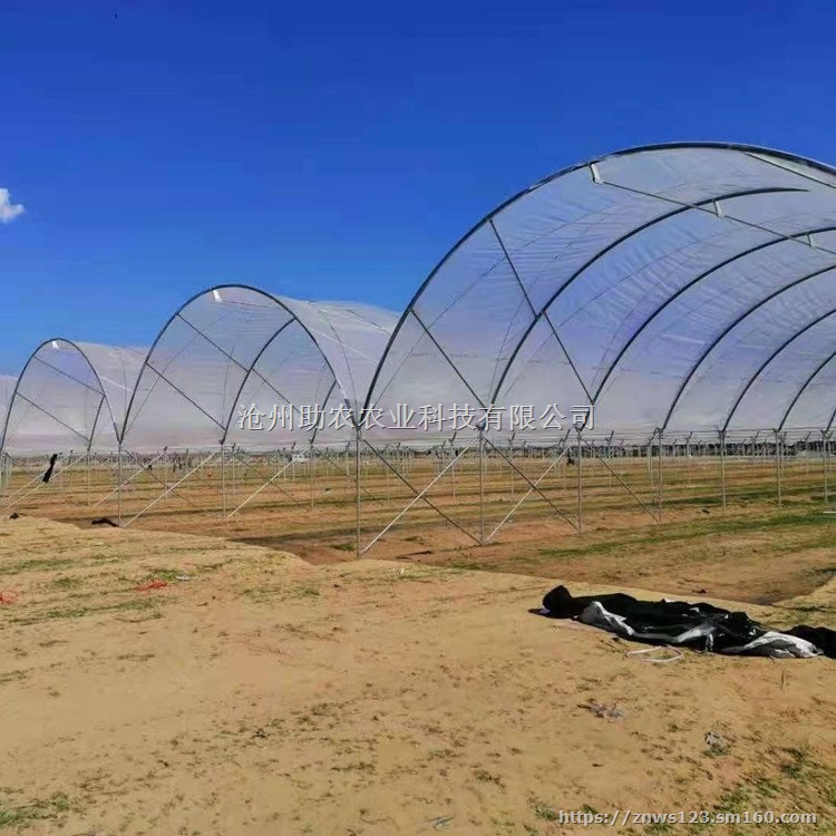 蓝莓避雨棚果树遮雨棚防雨棚设计施工安装一站式服务