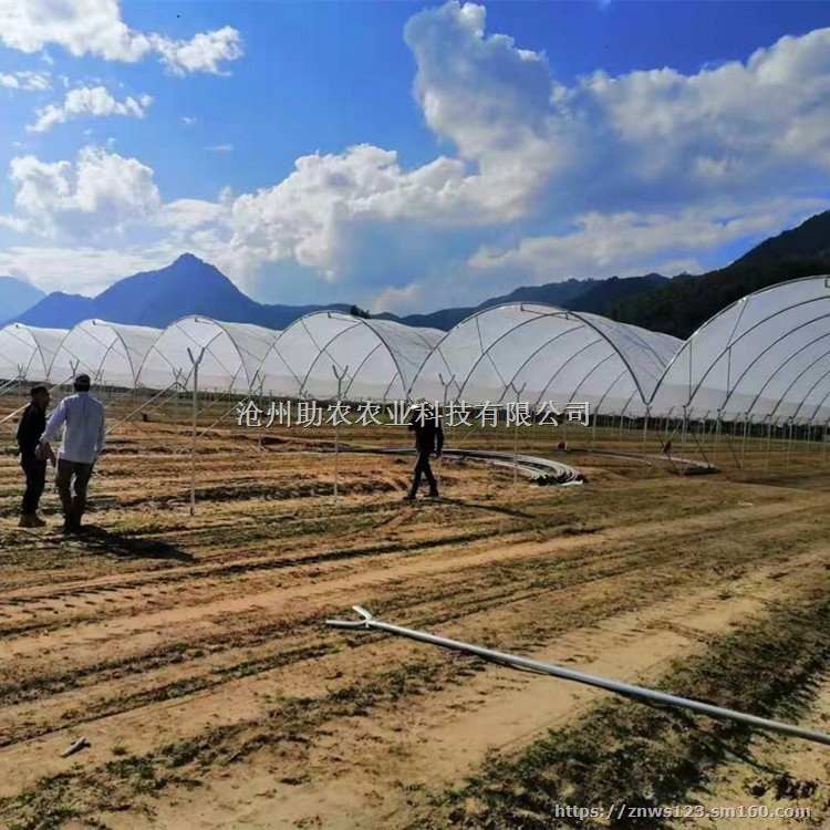 蓝莓避雨棚果树遮雨棚防雨棚设计施工安装一站式服务