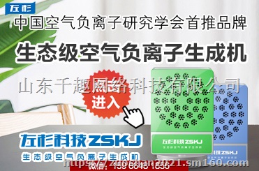 负氧离子发生器负离子机空气净化器