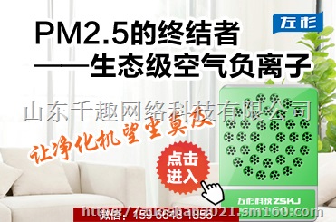 负氧离子发生器负离子机空气净化器