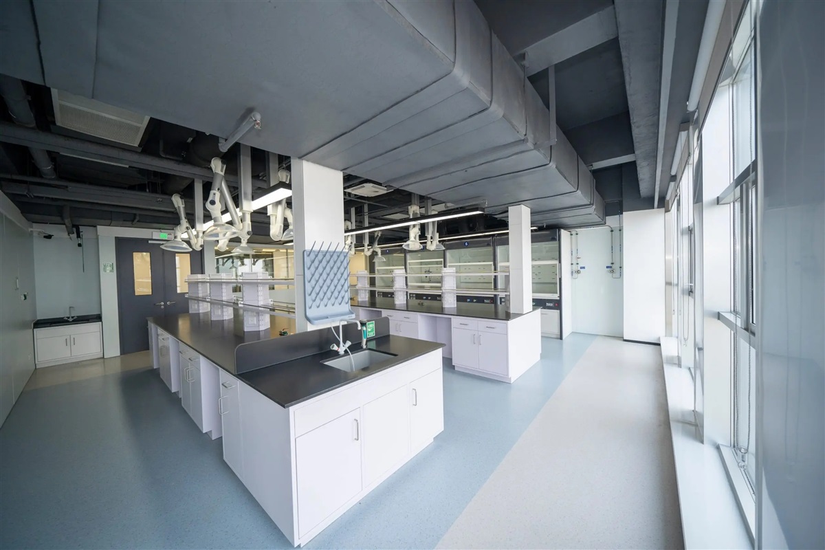 供应平果县实验室家具 实验台 仪器台 通风柜定制