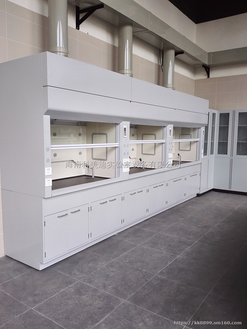 供应海口PP通风柜-海口实验室通风橱厂家直销