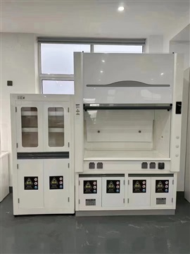 供应海口PP通风柜-海口实验室通风橱厂家直销