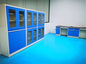 海口实验室药品柜-通风试剂柜-实验室试剂柜/器皿柜