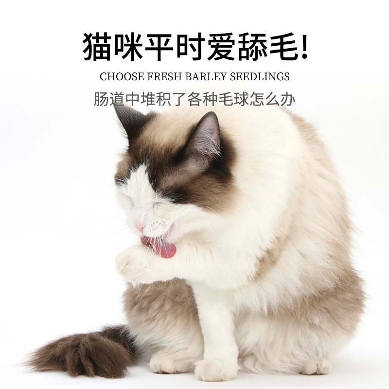 麒葆葆宠物营养补充剂宠物猫草化毛片贴牌实力厂家生产