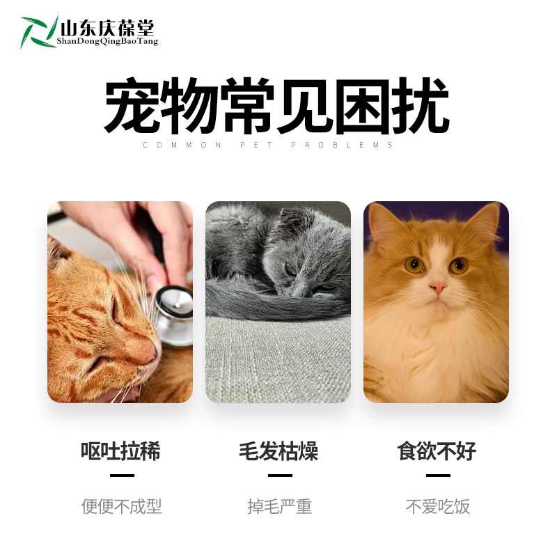宠物营养补充剂维生素B族片补充多种维生素犬猫通用麒