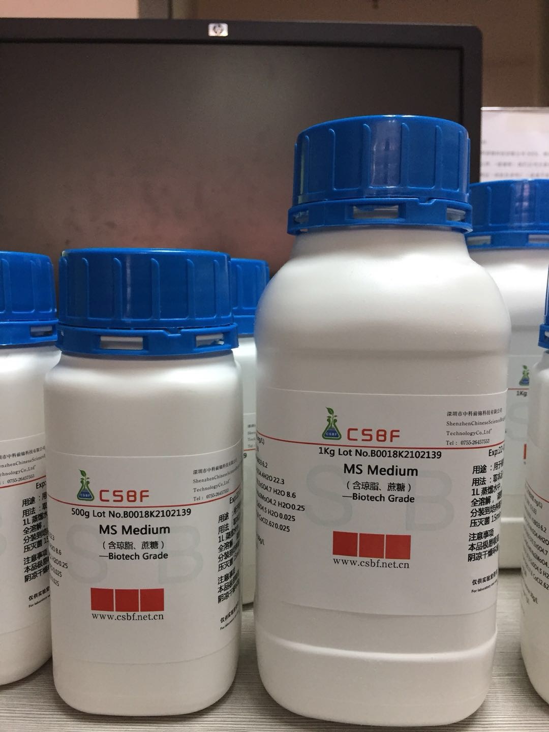 MS培养基