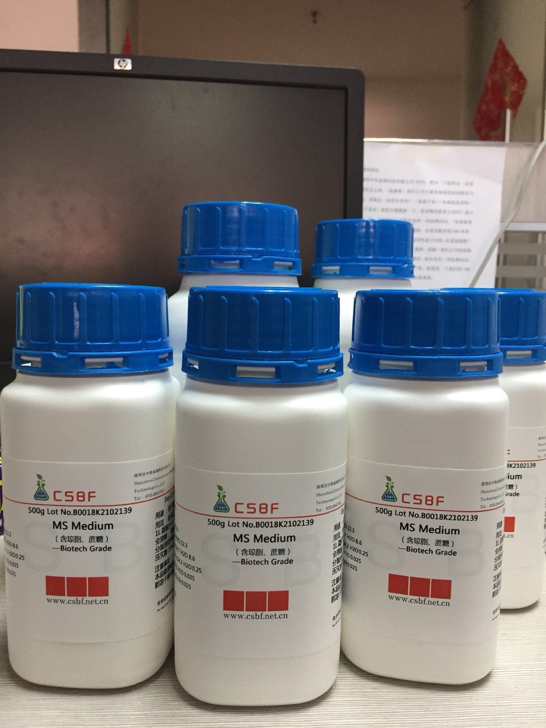 MS培养基