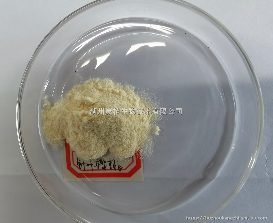 湖州康植针叶樱桃粉 针叶樱桃提取物