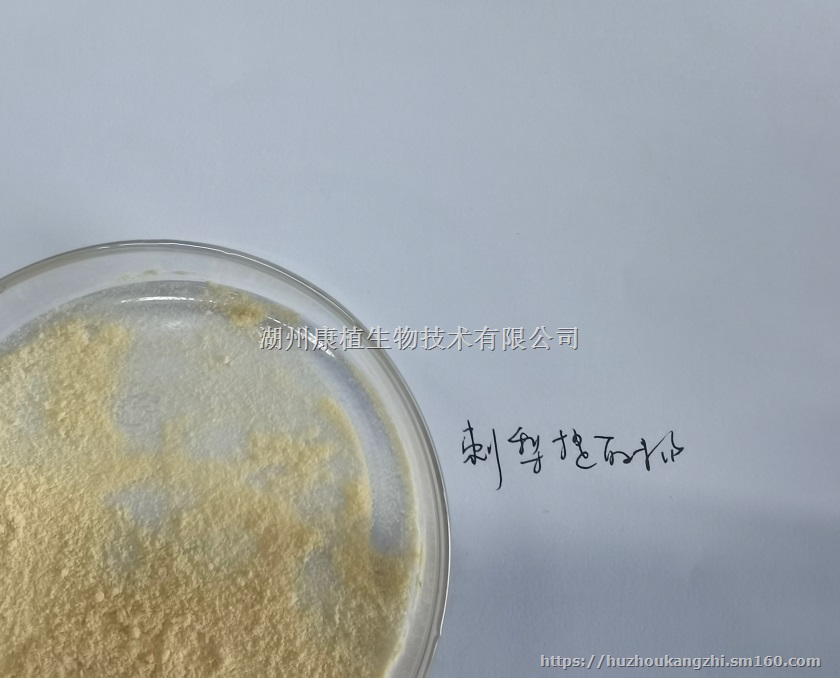刺梨粉 刺梨提取物供应 SOD20000以上