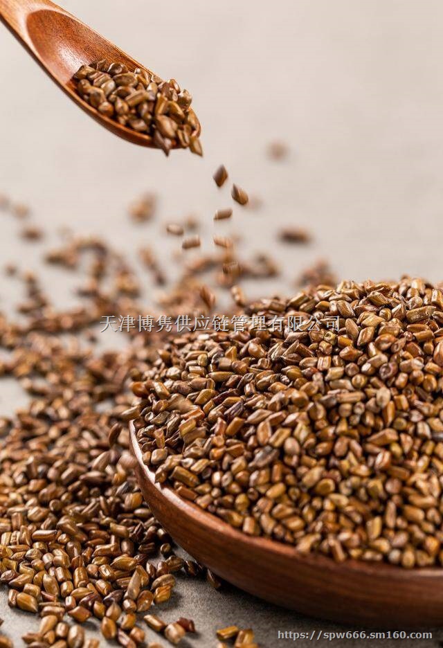 中药材决明子进口清关代理