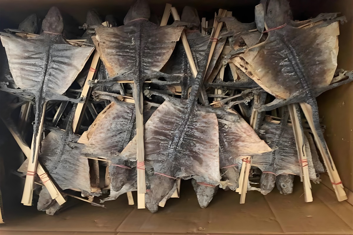 中药材蛤蚧进口清关代理