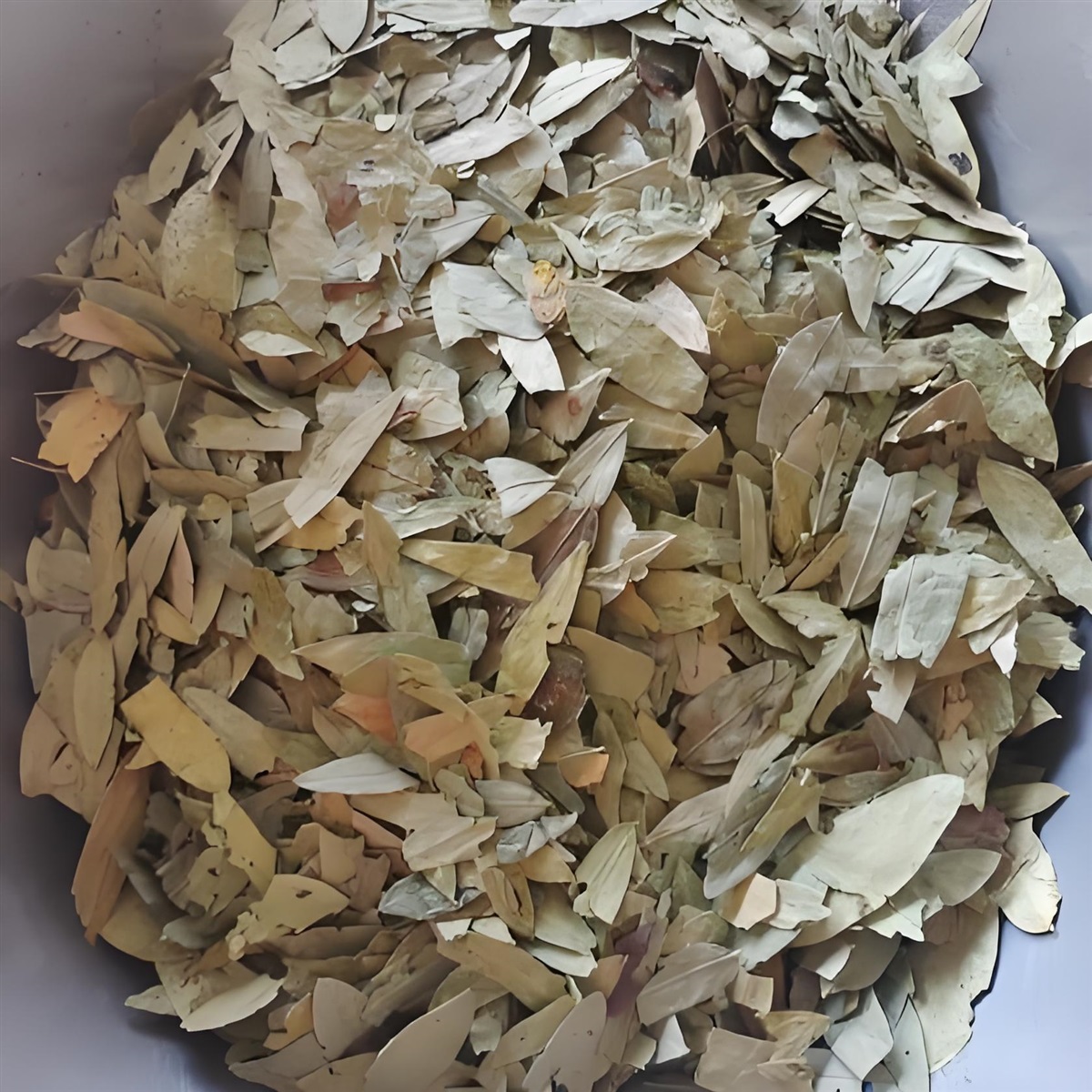 中药材番泻叶进口清关代理