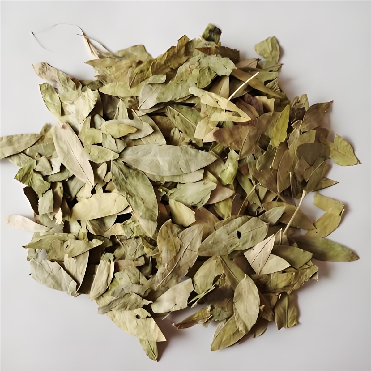 中药材番泻叶进口清关代理